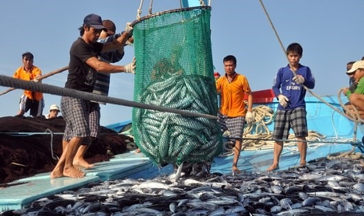 Thủy sản là gì?